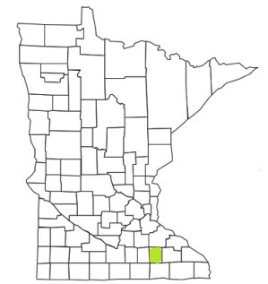 minnesota fire, minnesota firefighters, mn firefighters, mn fire, minnesota fire department, dodge county, minnesota firefighters, mn firefighters, dodge county ems, dodge county fire apparatus, dodge county fire departments