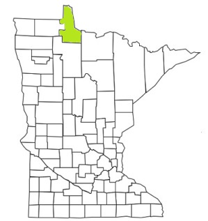 minnesota fire, minnesota firefighters, mn firefighters, mn fire, minnesota fire department, lake of the woods county, minnesota firefighters, mn firefighters, lake of the woods county ems, lake of the woods county fire apparatus, lake of the woods county fire departments