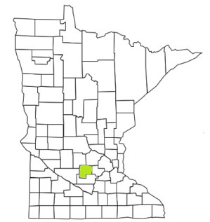 minnesota fire, minnesota firefighters, mn firefighters, mn fire, minnesota fire department, mcleod county, minnesota firefighters, mn firefighters, mcleod county ems, mcleod county fire apparatus, mcleod county fire departments